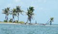Belize Barrier Reef System World Heritage Site (4) (Photo 9 of 13 photo(s)).
