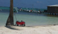Red Rider stroller awaits while passenger takes a dip in the sea (Photo 42 of 69 photo(s)).