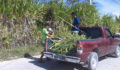 hard work on a hot day (Photo 8 of 69 photo(s)).