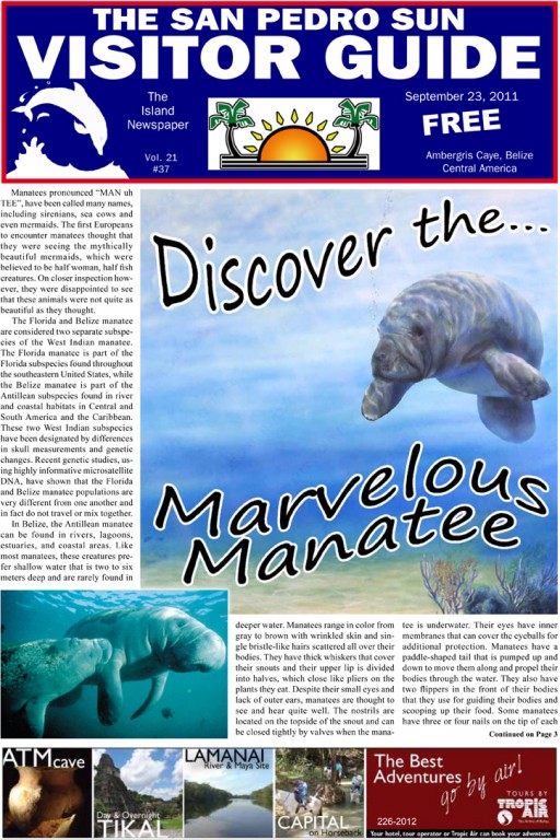 Discover the Marvelous Manatee