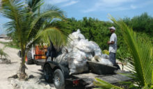 Gillnet fishing is now illegal in Belize; Ambergris Caye