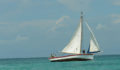 St George's Caye Regatta (1) (Photo 51 of 63 photo(s)).