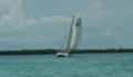 St George's Caye Regatta (Photo 52 of 63 photo(s)).