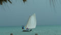 St George's Caye Regatta (26) (Photo 25 of 63 photo(s)).