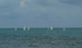 St George's Caye Regatta (40) (Photo 11 of 63 photo(s)).