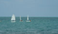 St George's Caye Regatta (42) (Photo 9 of 63 photo(s)).