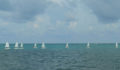 St George's Caye Regatta (47) (Photo 4 of 63 photo(s)).