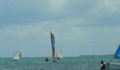 St George's Caye Regatta (6) (Photo 46 of 63 photo(s)).