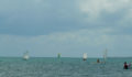 St George's Caye Regatta (8) (Photo 44 of 63 photo(s)).