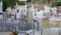 San Pedro Cemetery (1) (Photo 8 of 10 photo(s)).