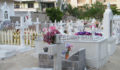 San Pedro Cemetery (4) (Photo 5 of 10 photo(s)).