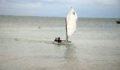 44 Sailing Regatta (1) (Photo 16 of 17 photo(s)).