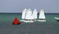 44 Sailing Regatta (16) (Photo 1 of 17 photo(s)).