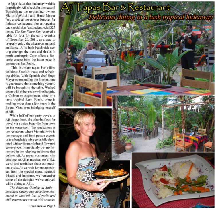 Aji – delicious dining in a lush tropical hideaway