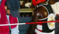 Belize vs Mexico Boxing 2011 (3) (Photo 39 of 42 photo(s)).