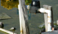 San-Mateo-water-contaminated (Photo 6 of 6 photo(s)).
