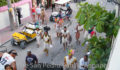 carnaval-comparsas-2012-77 (Photo 22 of 98 photo(s)).