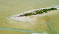 lighthawk-2 (Photo 1 of 26 photo(s)).