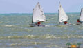 baron-bliss-regatta-2 (Photo 4 of 5 photo(s)).