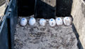 aces-crocodile-egg-rescue-9 (Photo 5 of 13 photo(s)).