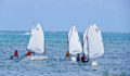 Island Academy Anchors Away Beach BBQ Sailing Regatta 13 (Photo 64 of 76 photo(s)).