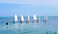 Island Academy Anchors Away Beach BBQ Sailing Regatta 4 (Photo 73 of 76 photo(s)).