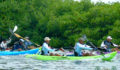 Eco Pro Kayak Race 2012 18 (Photo 4 of 53 photo(s)).