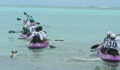 Eco Pro Kayak Race 2012 2 (Photo 2 of 53 photo(s)).