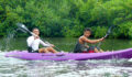 Eco Pro Kayak Race 2012 23 (Photo 8 of 53 photo(s)).