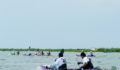 Eco Pro Kayak Race 2012 35 (Photo 20 of 53 photo(s)).
