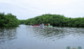 Eco Pro Kayak Race 2012 36 (Photo 21 of 53 photo(s)).