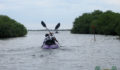 Eco Pro Kayak Race 2012 37 (Photo 22 of 53 photo(s)).