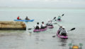 Eco Pro Kayak Race 2012 40 (Photo 24 of 53 photo(s)).
