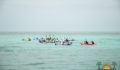 Eco Pro Kayak Race 2012 54 (Photo 33 of 53 photo(s)).