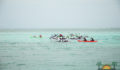 Eco Pro Kayak Race 2012 55 (Photo 34 of 53 photo(s)).