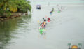 Eco Pro Kayak Race 2012 66 (Photo 42 of 53 photo(s)).