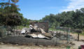 ACES destroyed by San Marco villages in Toledo 6 (Photo 7 of 12 photo(s)).