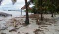 Hurricane Ernesto 2012 (28) (Photo 6 of 34 photo(s)).