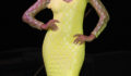 Miss Reina de la Costa Maya Pageant 2012 34 (Photo 14 of 42 photo(s)).