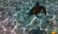 Sea Turtle Release (6) (Photo 2 of 9 photo(s)).