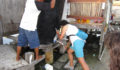 CaribSea-environmental-water-training-San-Mateo-5 (Photo 4 of 8 photo(s)).