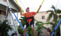 Toucan Bungee Trampoline 5425 (Photo 7 of 11 photo(s)).