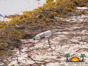 Oceana Beach Cleanup-19