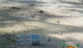 Oceana Beach Cleanup-9 (Photo 16 of 24 photo(s)).