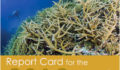 2012-Report-Card on the MesoAmerica Reef.pdf (Photo 9 of 10 photo(s)).