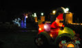 Caribbean Christmas Colors-19 (Photo 17 of 35 photo(s)).