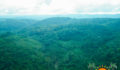 Tropic Air Maya Flats-15 (Photo 17 of 31 photo(s)).