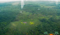 Tropic Air Maya Flats-6 (Photo 26 of 31 photo(s)).