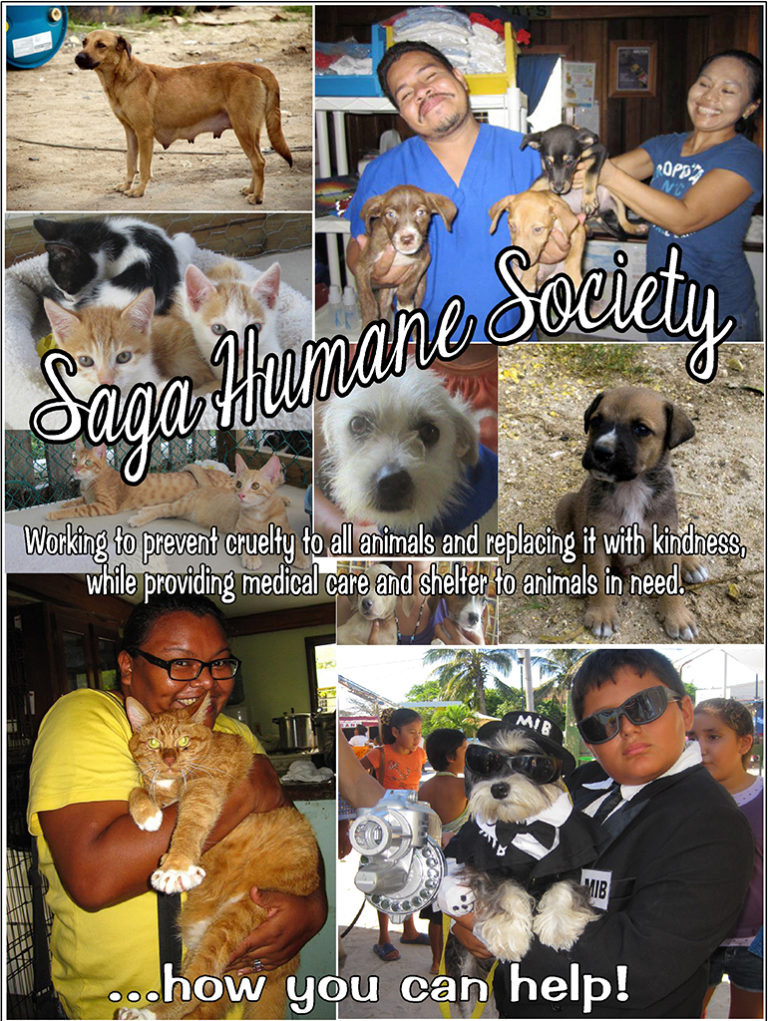 Saga Humane Society – how you can help!