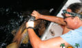 Shark Tagging Rachel Graham-11 (Photo 12 of 22 photo(s)).